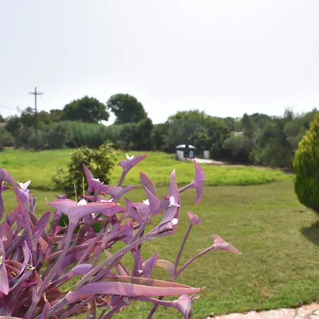 Kokkinia Gardens 아파트호텔 카보스