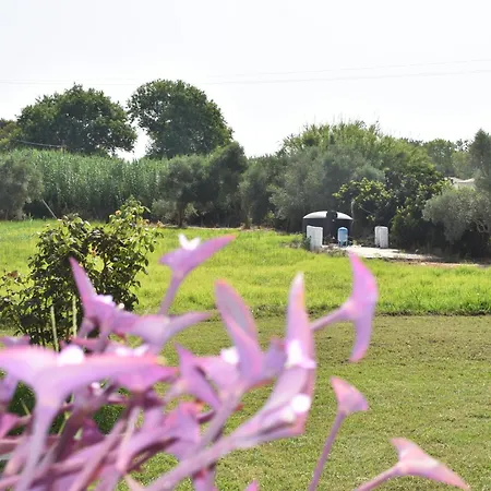 아파트호텔 Kokkinia Gardens 카보스