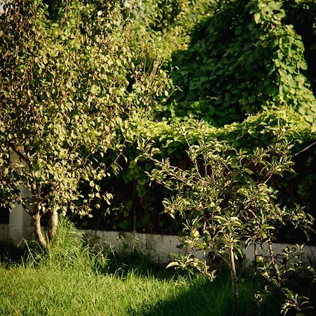 Kokkinia Gardens 아파트호텔