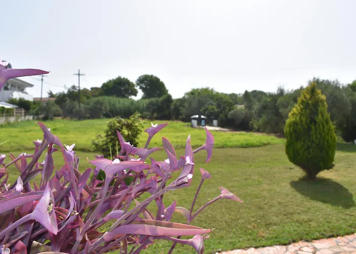 Kokkinia Gardens Aparthotel Kávos