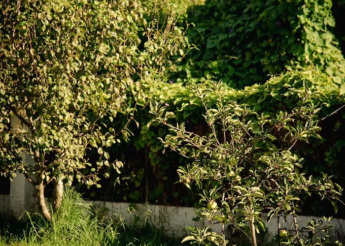 Kokkinia Gardens Aparthotel